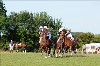 UKPA NC SAT_2107